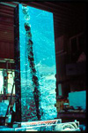 Water and Light Sculpture - TS'UNG TUBE X